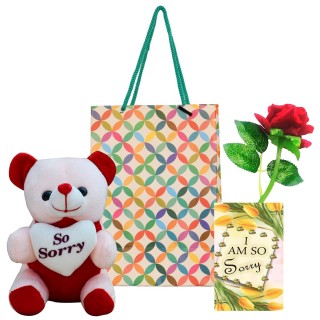 Sorry Gift Combo for Girlfriend, Boyfriend - Sorry Greeting Card, Sorry Teddy , Artificial Red Rose and Paper Carry Bag